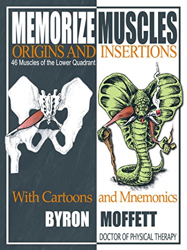 Memorize Muscles, Origins, and Insertions with Cartoons and Mnemonics: 46 Muscles of the Lower Quadrant - Orginal pdf
